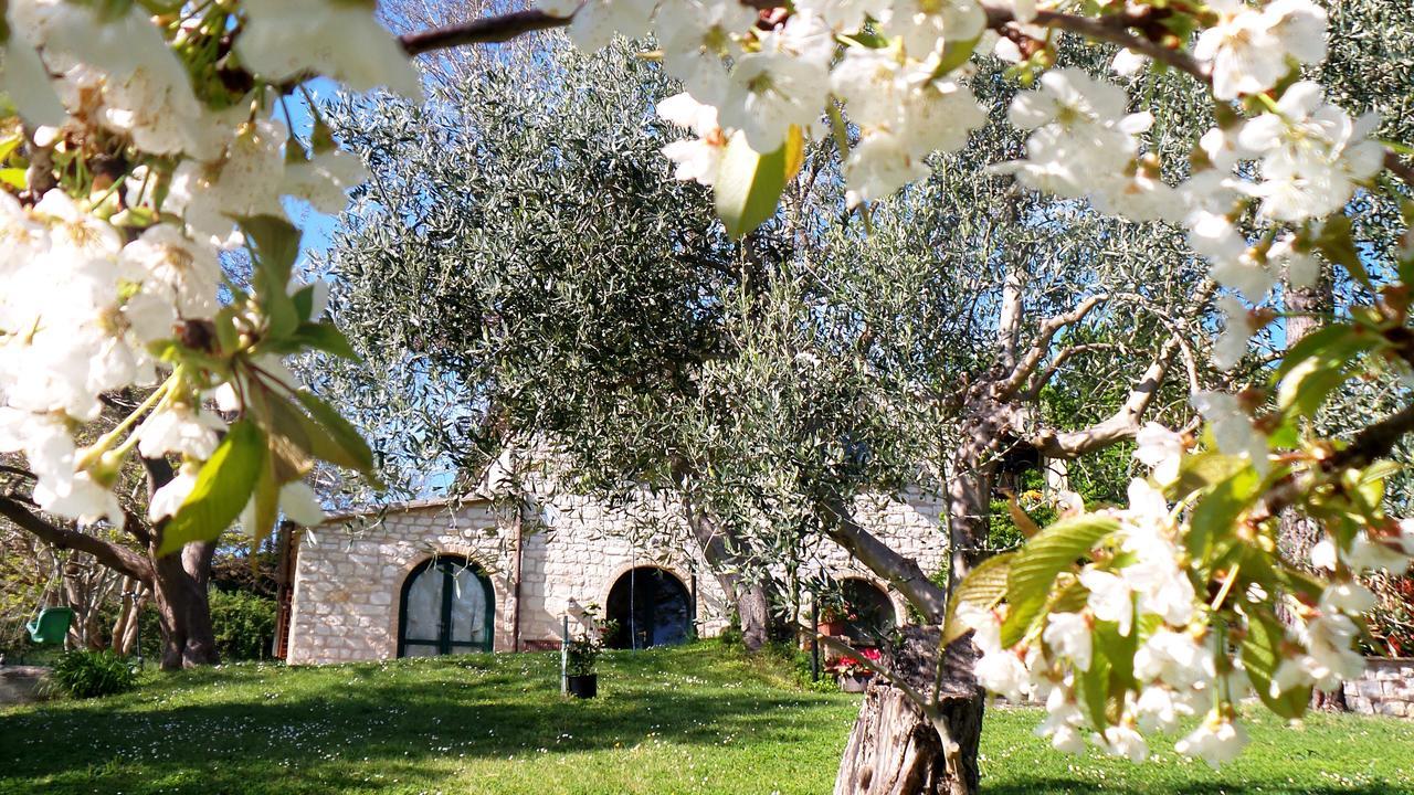 Campo Del Mare Bed and Breakfast Sirolo Exteriör bild