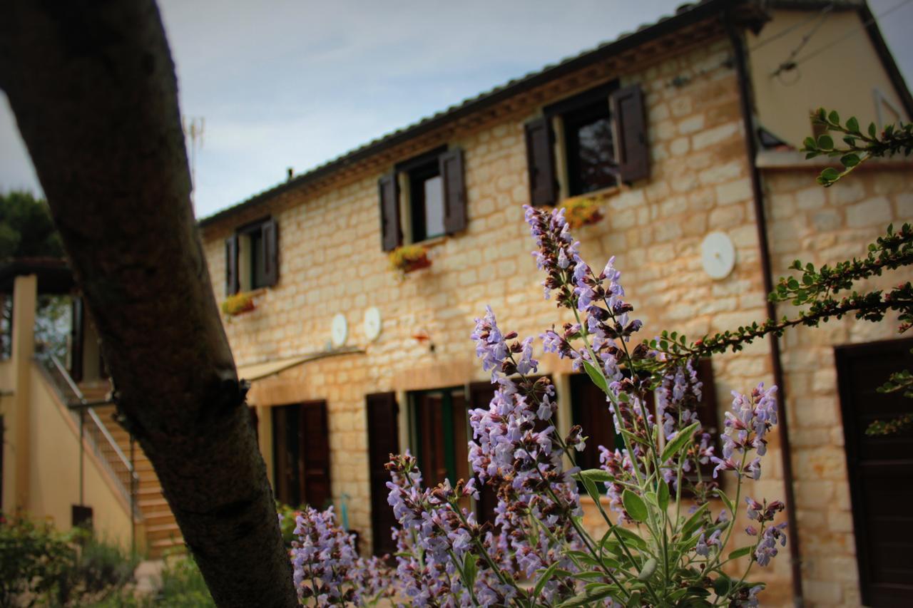 Campo Del Mare Bed and Breakfast Sirolo Exteriör bild